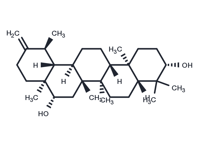 TargetMol Chemical Structure Arnidiol