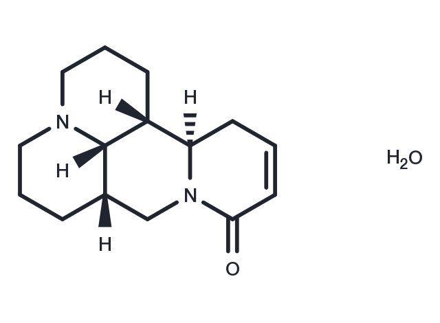 TargetMol Chemical Structure Sophocarpine monohydrate