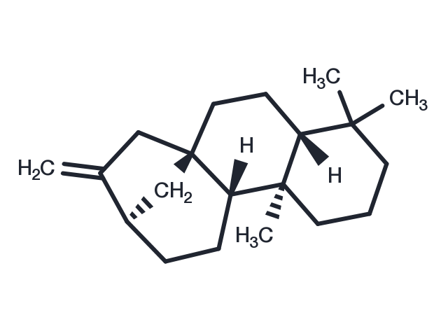 TargetMol Chemical Structure (-)-Phyllocladene