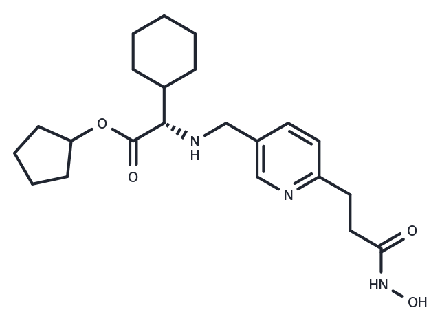 TargetMol Chemical Structure HDAC-IN-3