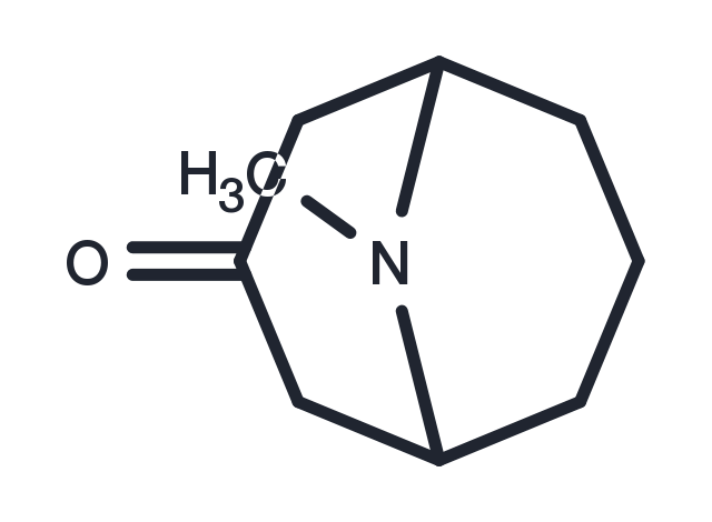 Pseudopelletierine free base Chemical Structure