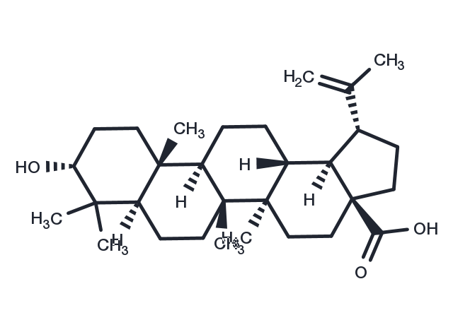 TargetMol Chemical Structure Epibetulinic acid