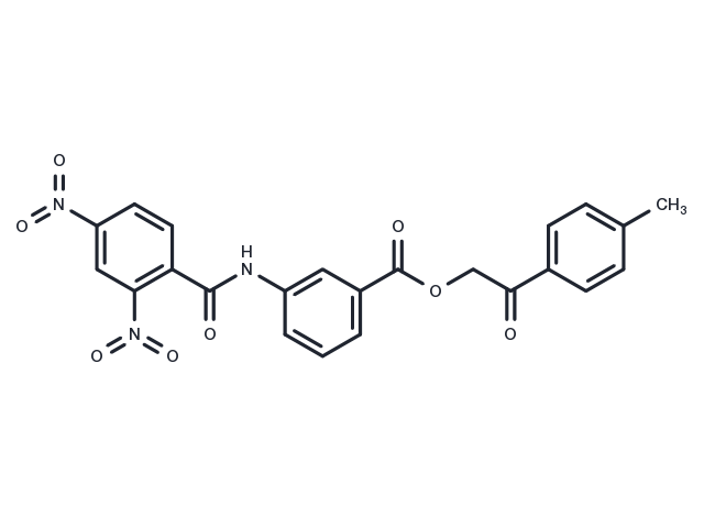 TargetMol Chemical Structure FM19G11