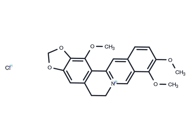 TargetMol Chemical Structure 1-Methoxyberberine