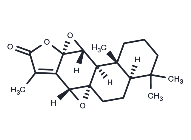 TargetMol Chemical Structure Jolkinolide B