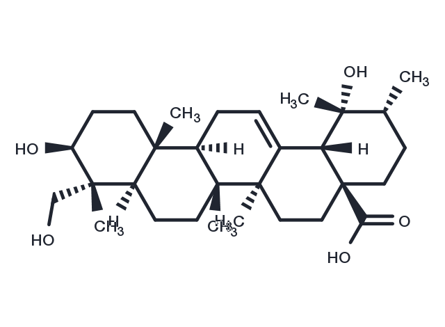 Rotundic acid Chemical Structure