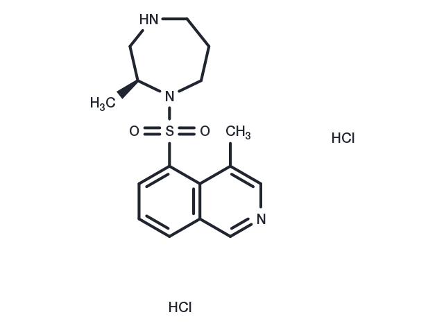TargetMol Chemical Structure H-1152 dihydrochloride