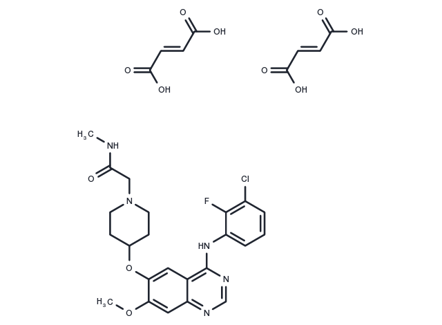 TargetMol Chemical Structure AZD8931 diFuMaric acid