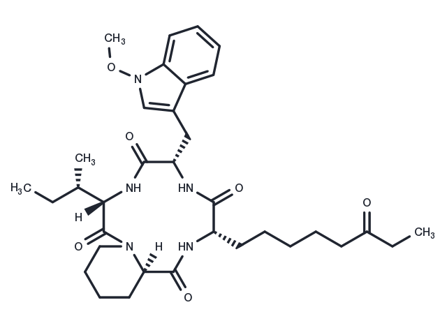 TargetMol Chemical Structure Apicidin