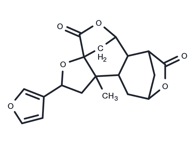 TargetMol Chemical Structure Diosbulbin B