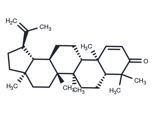 TargetMol Chemical Structure Glochidone
