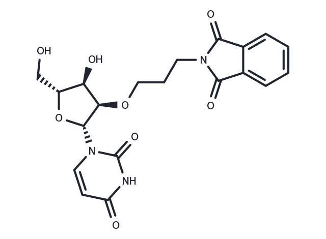 2’-O-Phthalimidopropyl uridine Chemical Structure