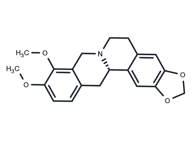 TargetMol Chemical Structure Canadine
