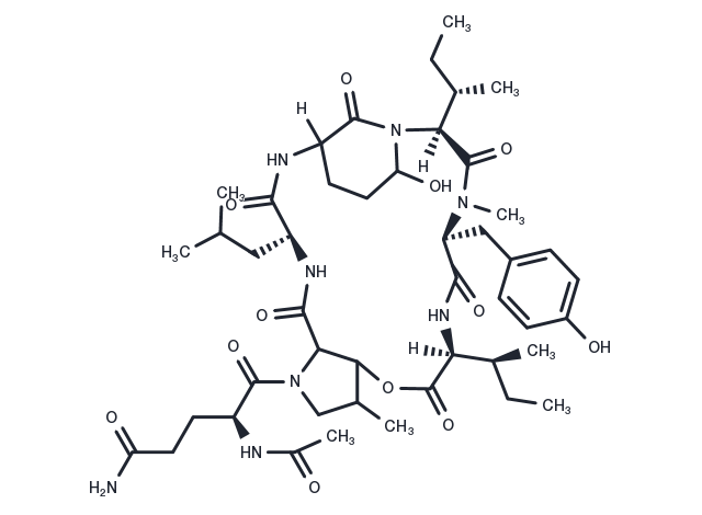 Nostopeptin B Chemical Structure