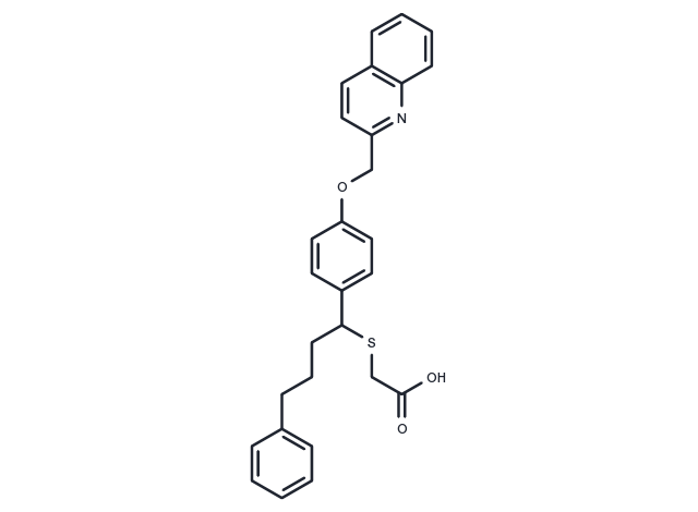 TargetMol Chemical Structure L 674573