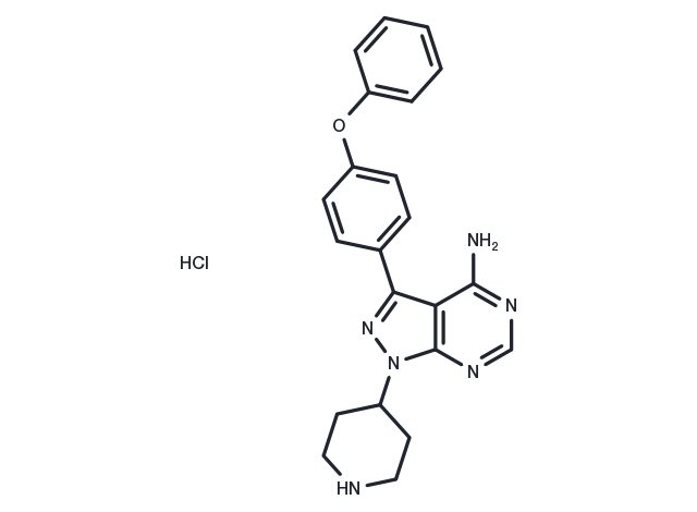 TargetMol Chemical Structure N-piperidine Ibrutinib hydrochloride