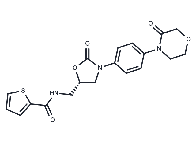 TargetMol Chemical Structure Dechloro Rivaroxaban