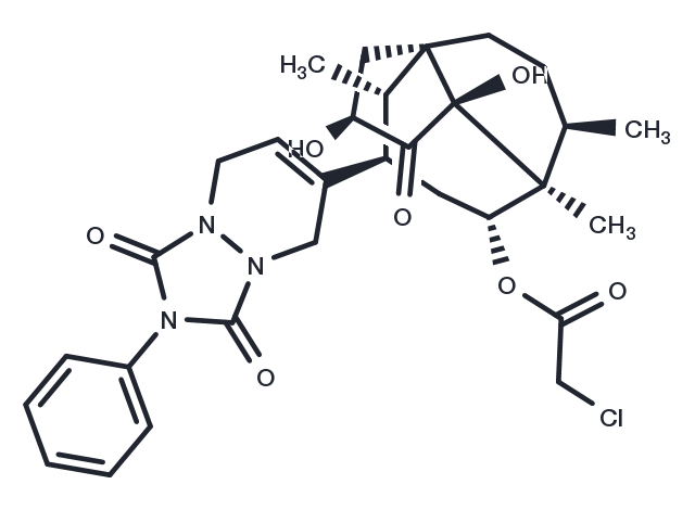 Ferroptocide Chemical Structure