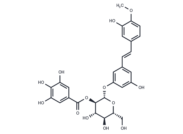 Rhaponticin 2′′-O-gallate Chemical Structure