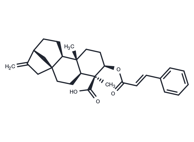 ent-3beta-Cinnamoyloxykaur-16-en-19-oic acid Chemical Structure