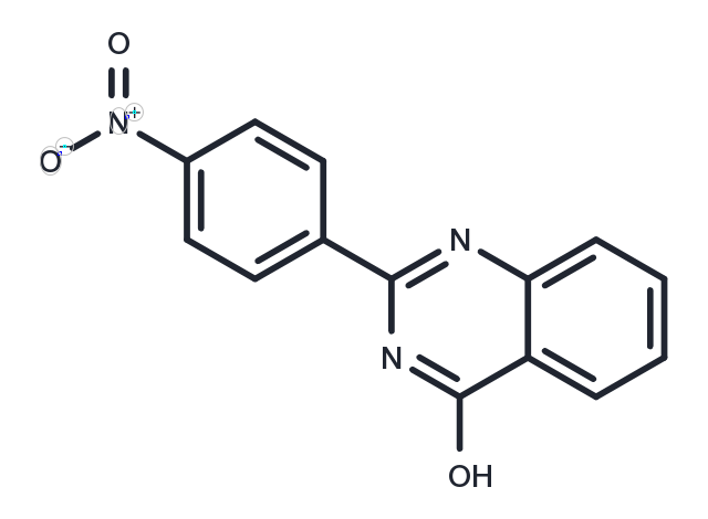 TargetMol Chemical Structure TNKS-2-IN-1
