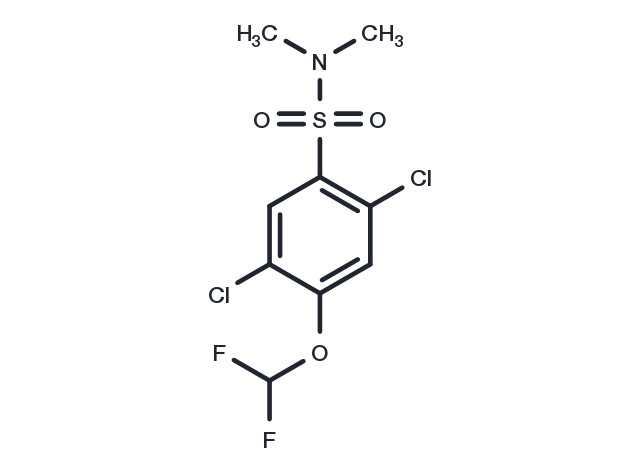 2,5-dichloro-4-(difluoromethoxy)-N,N-dimethylbenzene-1-sulfonamide Chemical Structure