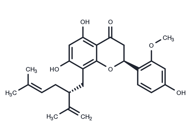 TargetMol Chemical Structure Leachianone A