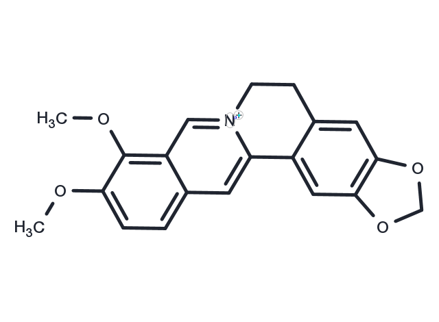 TargetMol Chemical Structure Berberine