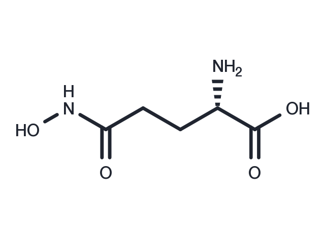 L-Glutamic γ-monohydroxamate Chemical Structure