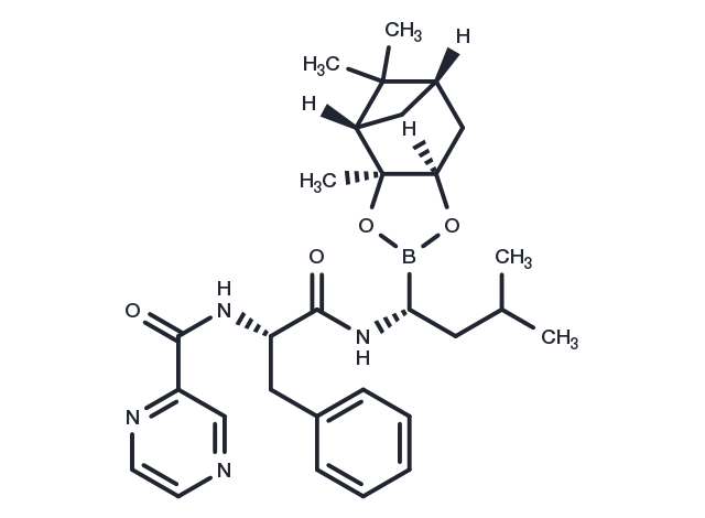 TargetMol Chemical Structure Bortezomib-pinanediol