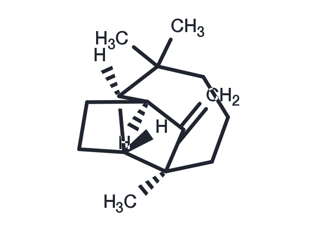 TargetMol Chemical Structure (+)-Longifolene