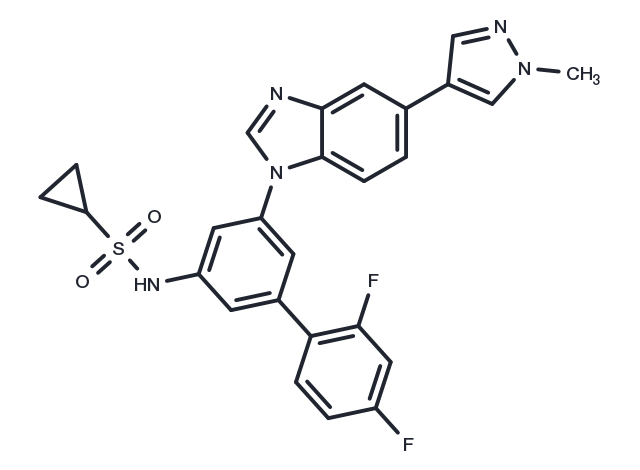 TargetMol Chemical Structure ODM-203
