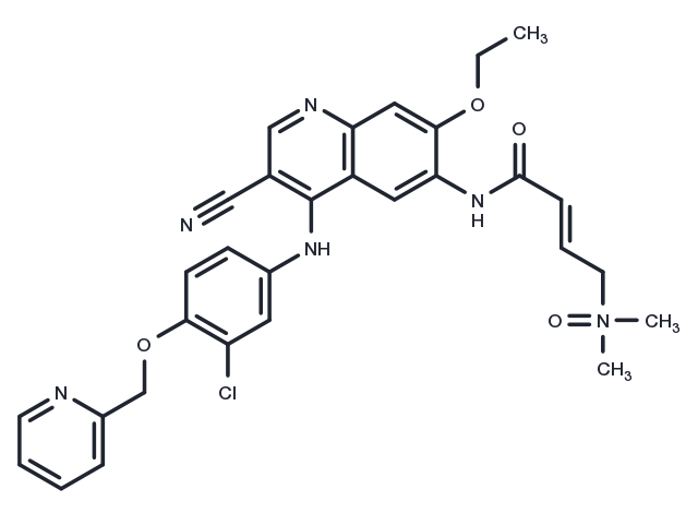 Neratinib dimethylamine N-oxide Chemical Structure