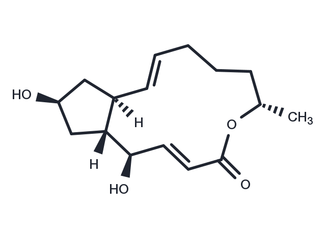 TargetMol Chemical Structure Brefeldin A
