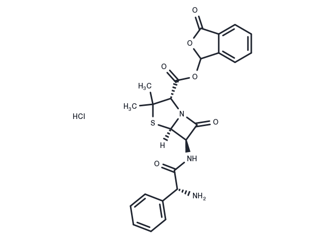 Talampicillin hydrochloride Chemical Structure