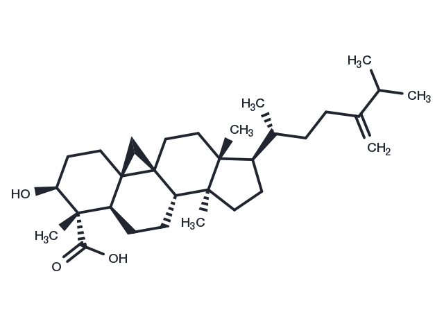 TargetMol Chemical Structure 1-Dehydroxy-23-deoxojessic acid