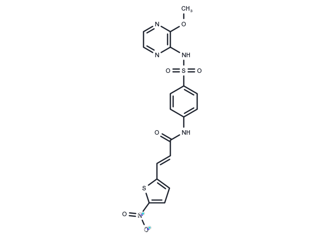 TargetMol Chemical Structure Necrosulfonamide