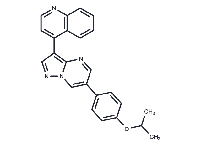 TargetMol Chemical Structure DMH-1