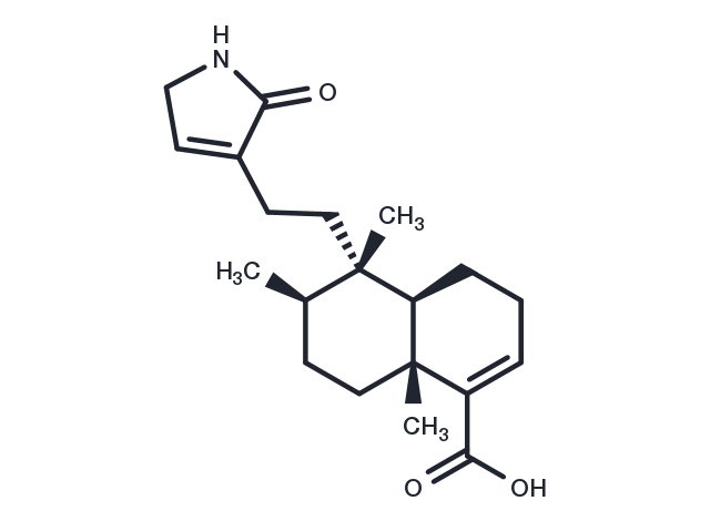 TargetMol Chemical Structure Echinophyllin C