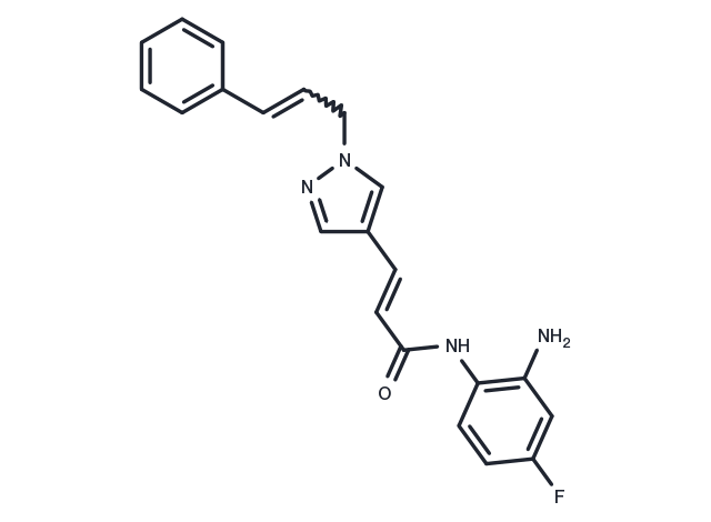 TargetMol Chemical Structure RGFP966