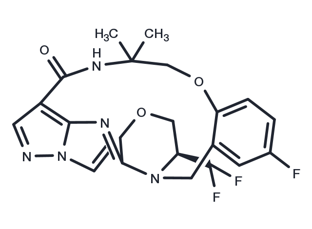 TPX-0131 Chemical Structure