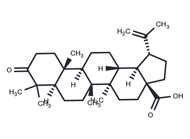 Betulonic acid Chemical Structure