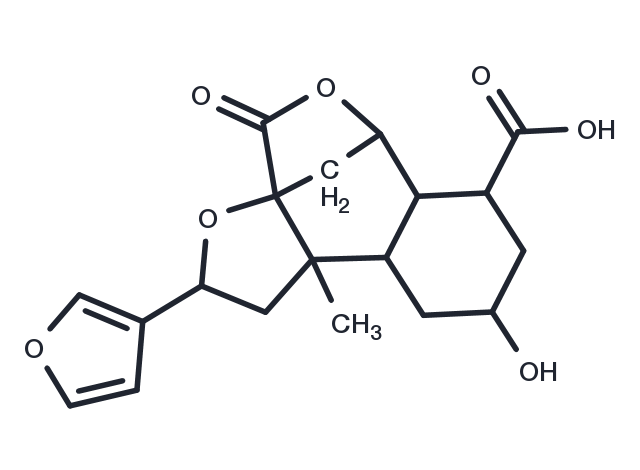 TargetMol Chemical Structure Diosbulbin C