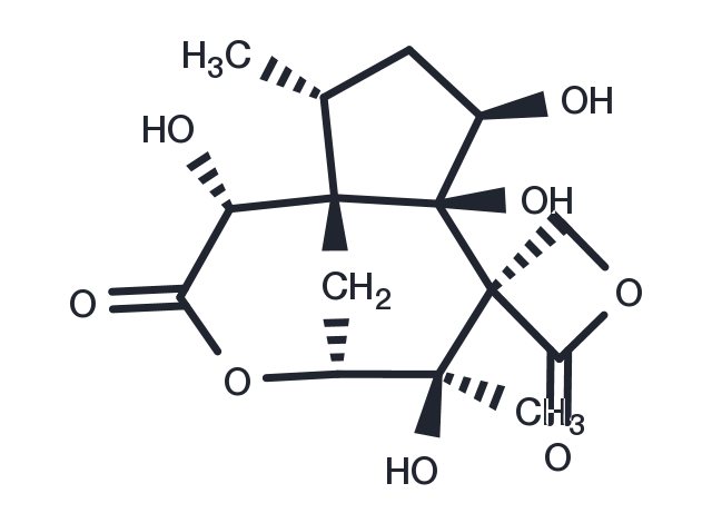 Anisatin Chemical Structure