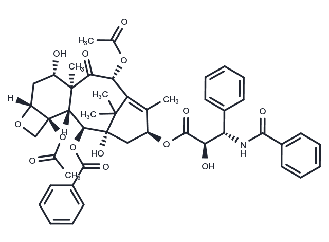TargetMol Chemical Structure Paclitaxel