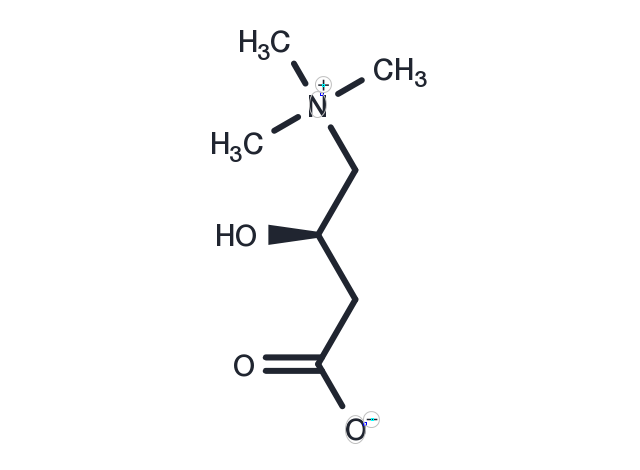 TargetMol Chemical Structure L-Carnitine