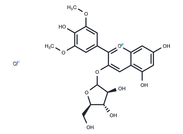 TargetMol Chemical Structure Malvidin-3-O-arabinoside chloride