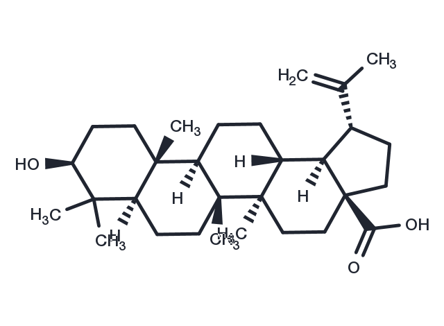 TargetMol Chemical Structure Betulinic acid