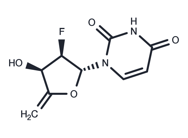 4’,5’-Didehydro-2’,5’-dideoxy-2’-fluorouridine Chemical Structure