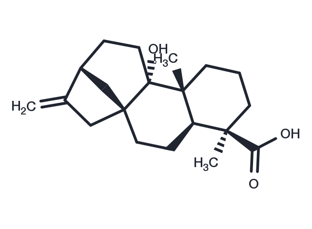 TargetMol Chemical Structure Pterokaurene L3